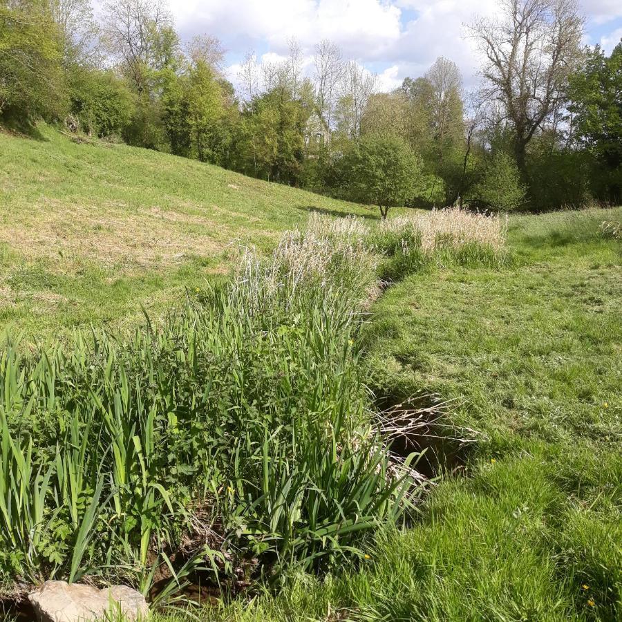 Gites Nature & Espace - Le Puits Des Souhaits Villedieu-les-Poëles Eksteriør billede
