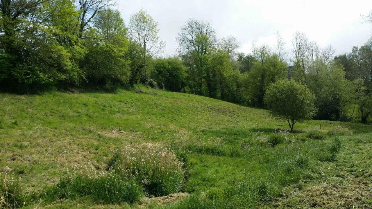 Gites Nature & Espace - Le Puits Des Souhaits Villedieu-les-Poëles Eksteriør billede